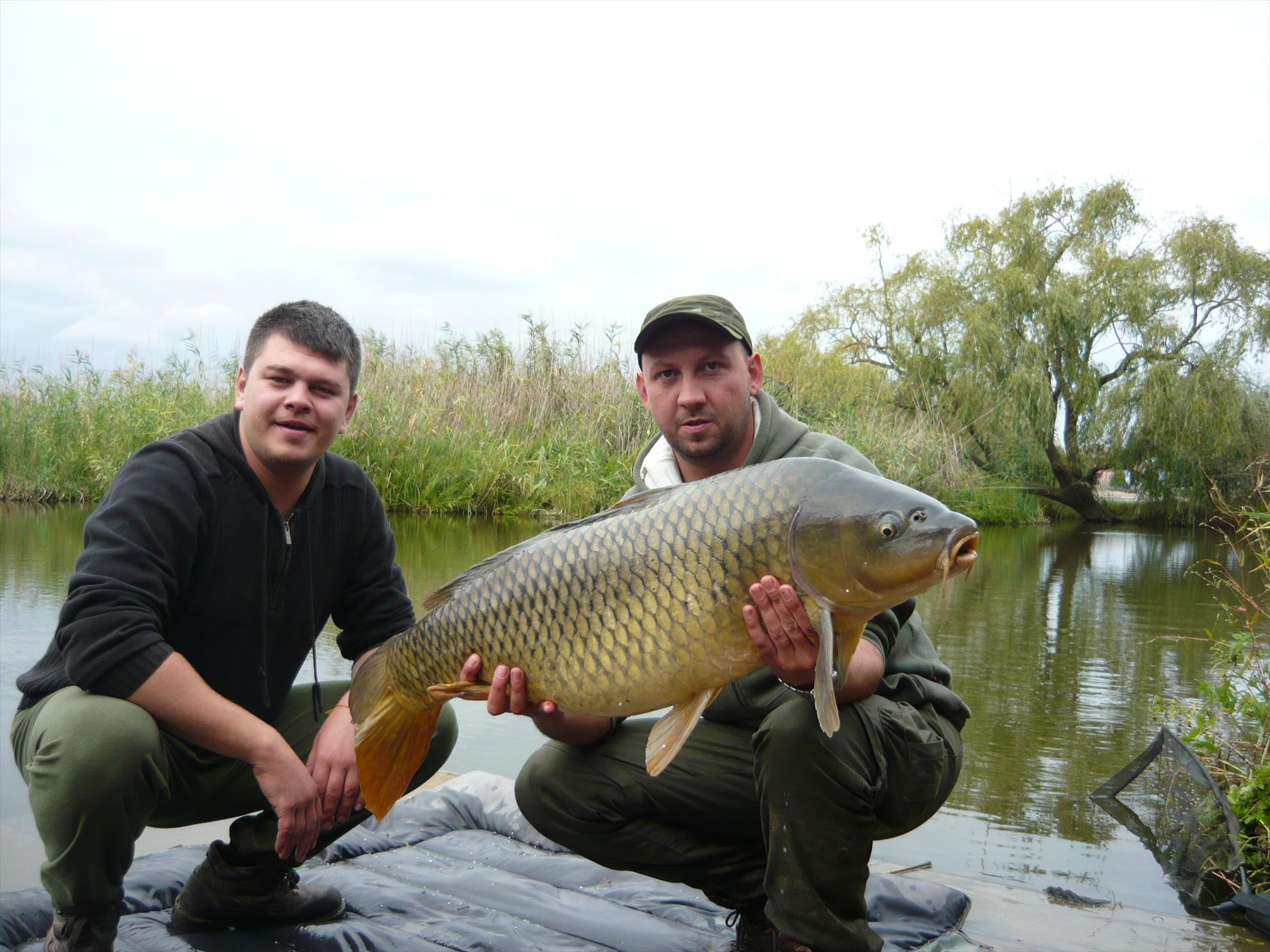 Best-2010 - p1020659.JPG